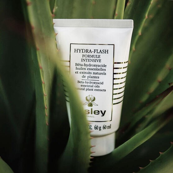 SISLEY     HYDRA FLASH     CR 60ML